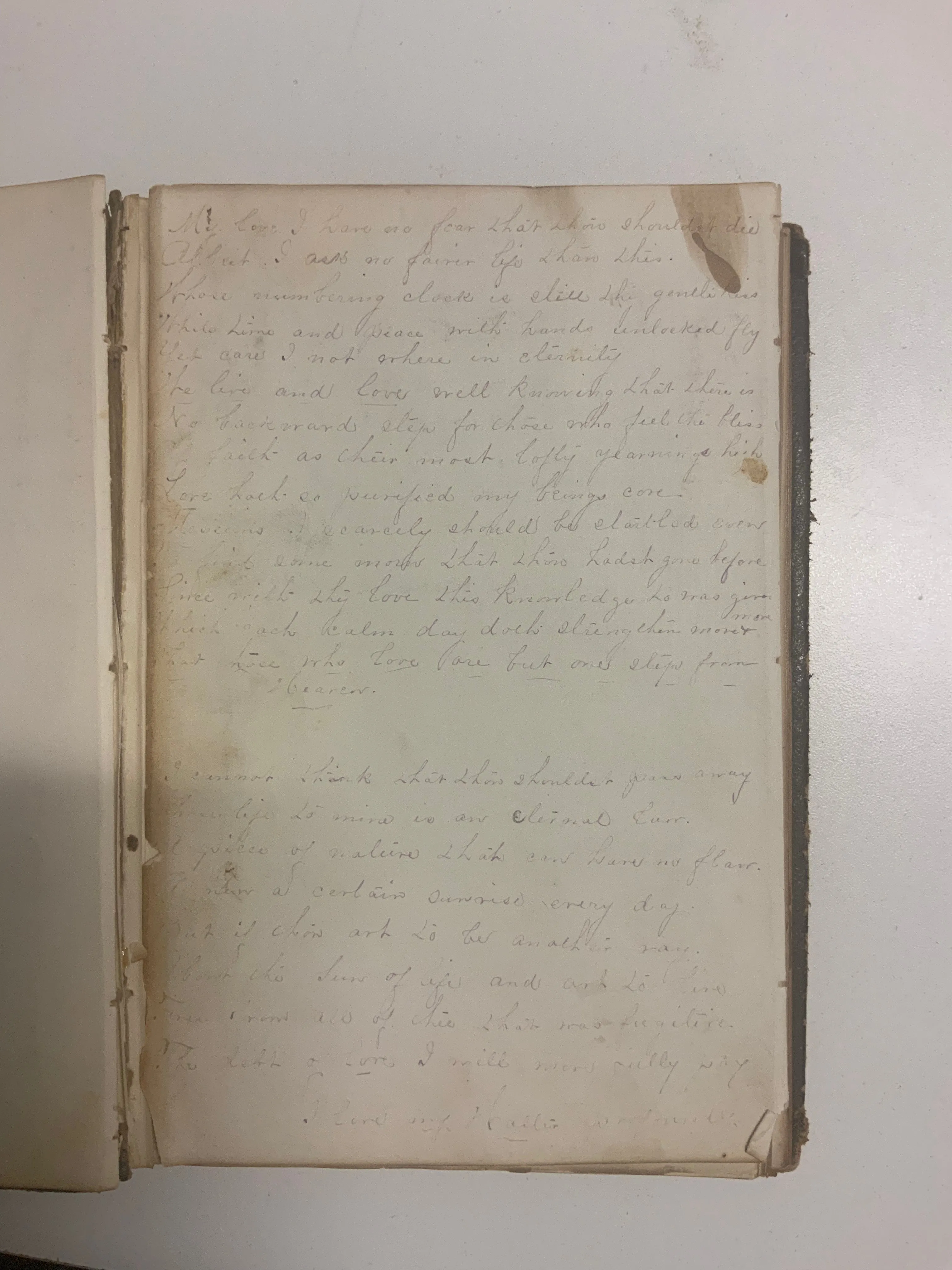 1864 Sallie E. Moore's Love&Death Diary, Letter Amidst Civil War- $5K APR w/CoA!