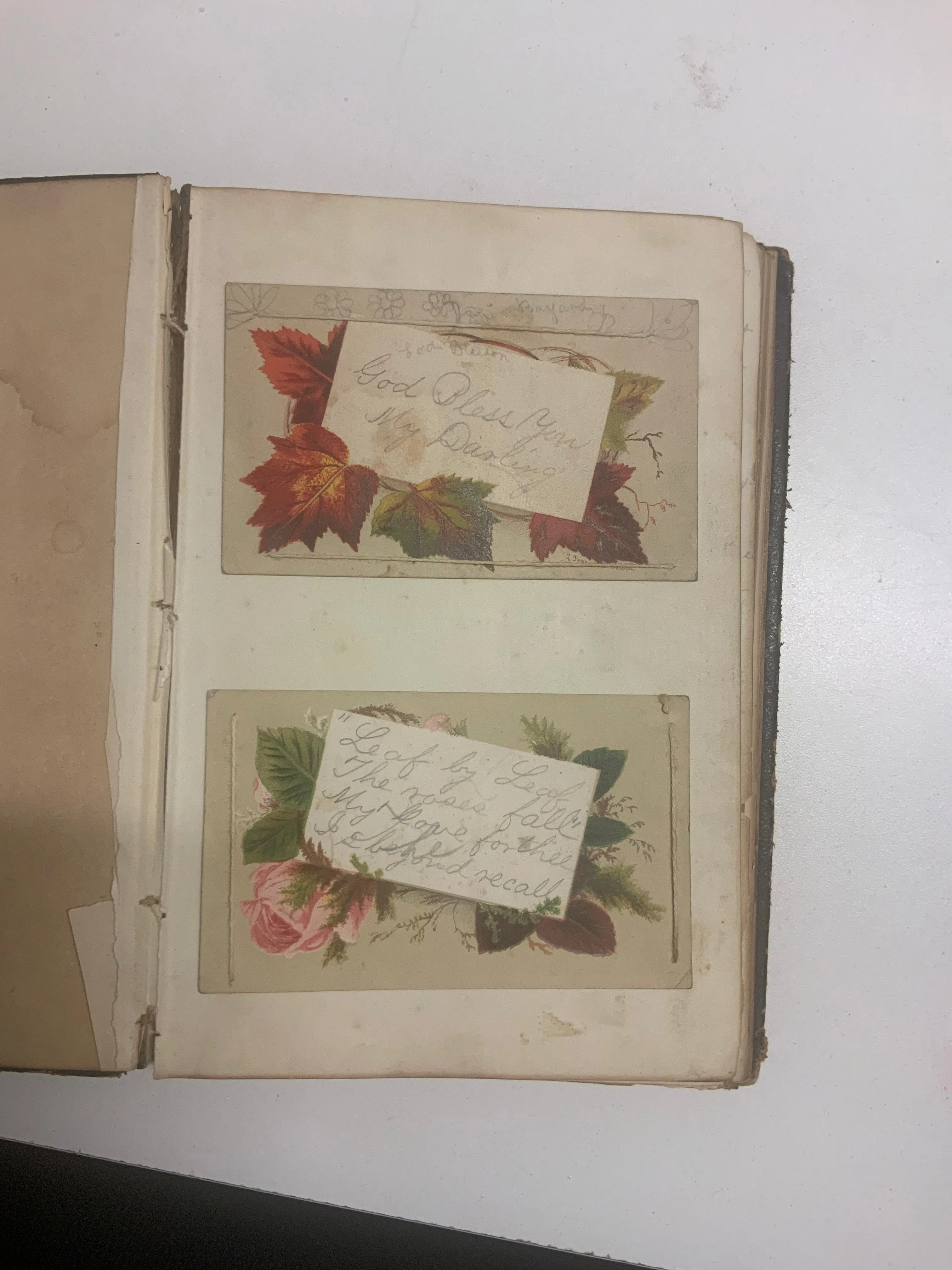 1864 Sallie E. Moore's Love&Death Diary, Letter Amidst Civil War- $5K APR w/CoA!