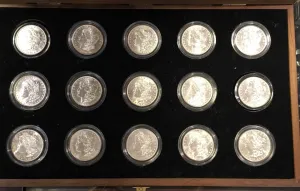1878-1904 U.S. Peace Silver Dollar Complete Collection The Silver Mint LTD Morgan 15 Coins $1.5K Appraisal Value! ✓