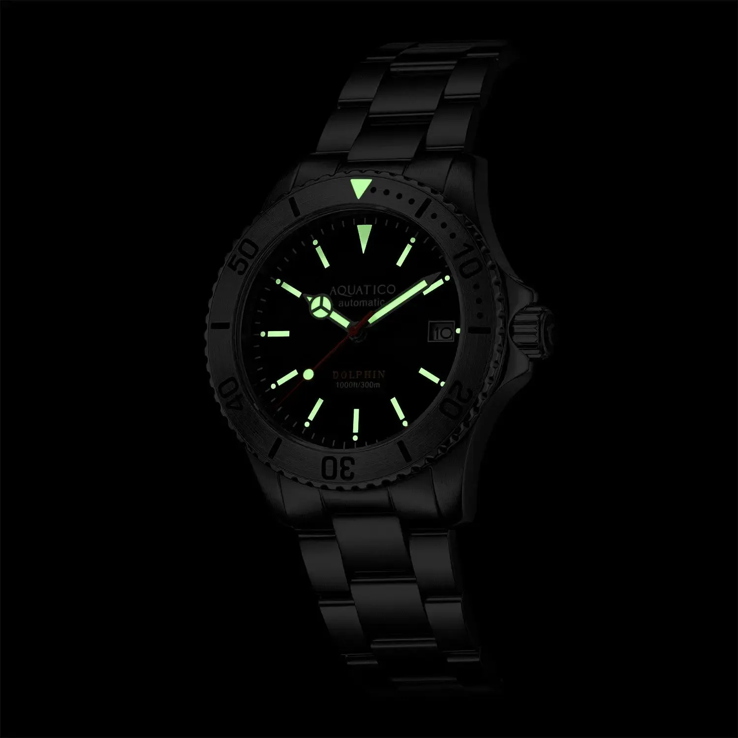 Aquatico Dolphin 38mm Dive Watch Black Dial (NH35)