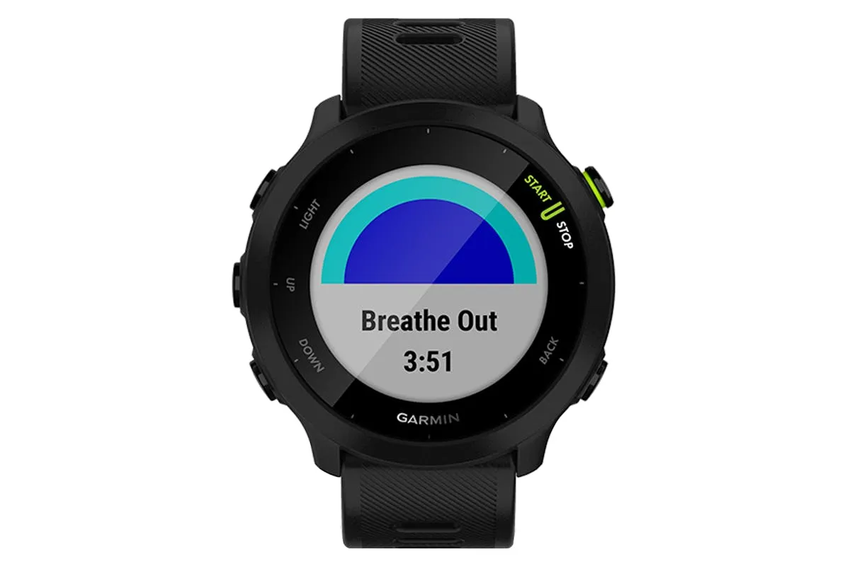 Garmin Forerunner 55 | Black