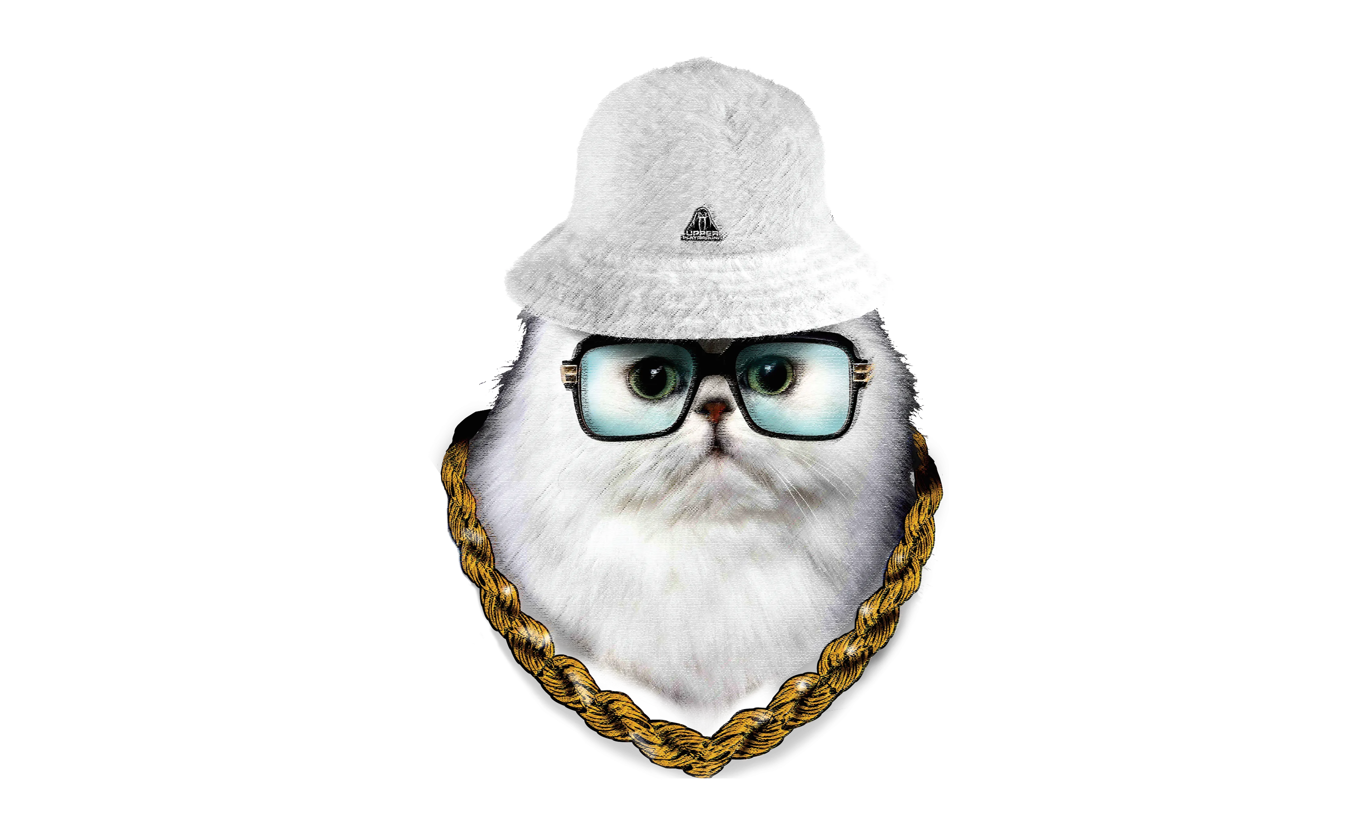 HELLA FRESH MEN'S HOODIE