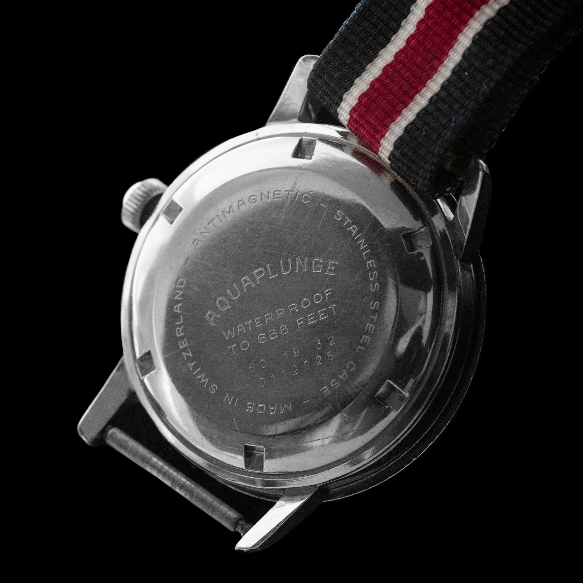 Rotary - 1960’s Aquaplunge